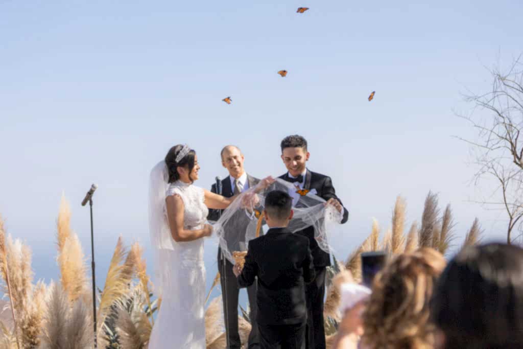 Malibu Estate wedding butterflies being release during ceremony
